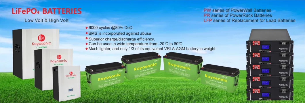 48 Volt Lithium Ion Batterie 50ah 100ah 105ah 160ah LiFePO4 Battery 48V 100ah Golf Cart Batteries