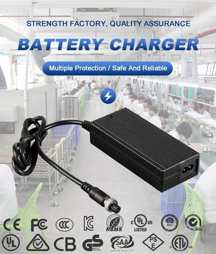 Custom 12V 24V 36V 48V 60V Lithium Battery Charger 2A 3A 4A 5A 10A Electric Scooter Bike Charger