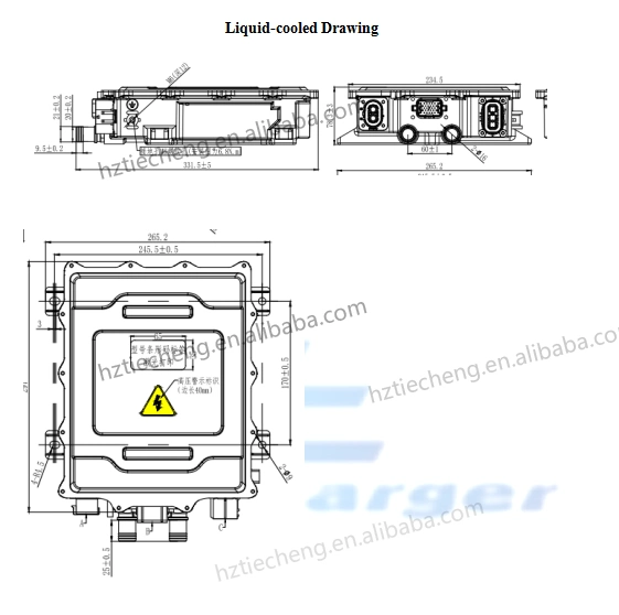 High Voltage Truck EV Onboard Automotive 6.6kw Car Battery Charger