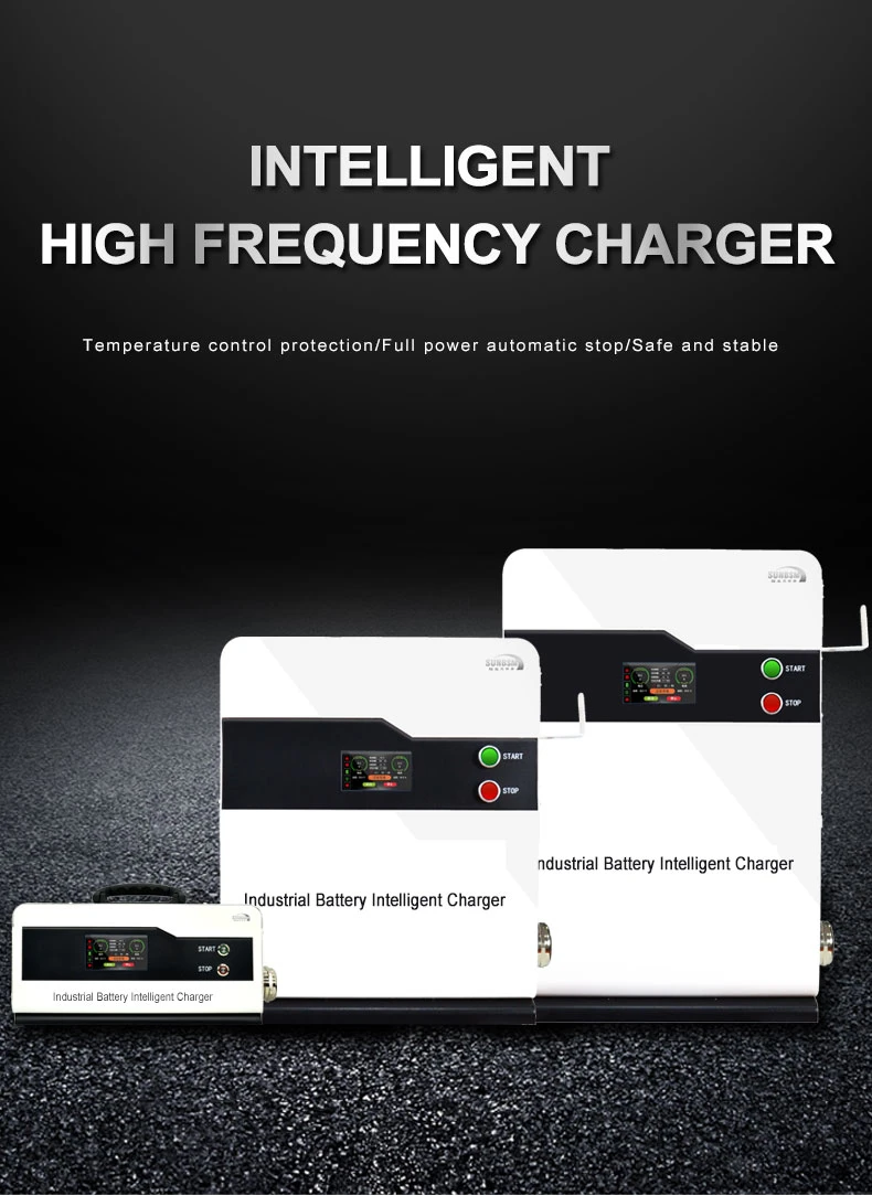 Commercial Floor Scrubber Li-on Battery Charger Smart Charger 24V 36V