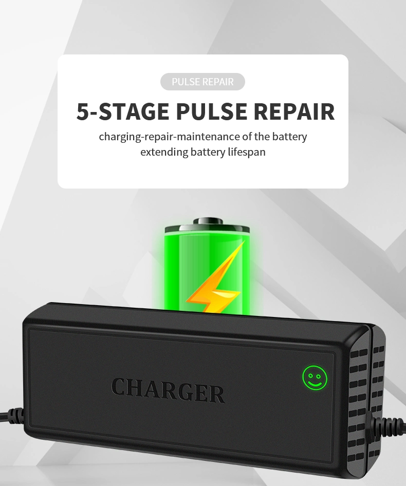 Special Charger for Lithium-Ion Batteries