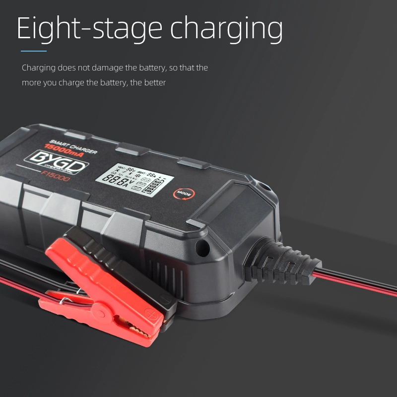 Factory Direct Pulse Input Model 6V 12V 6 AMP Battery Charger