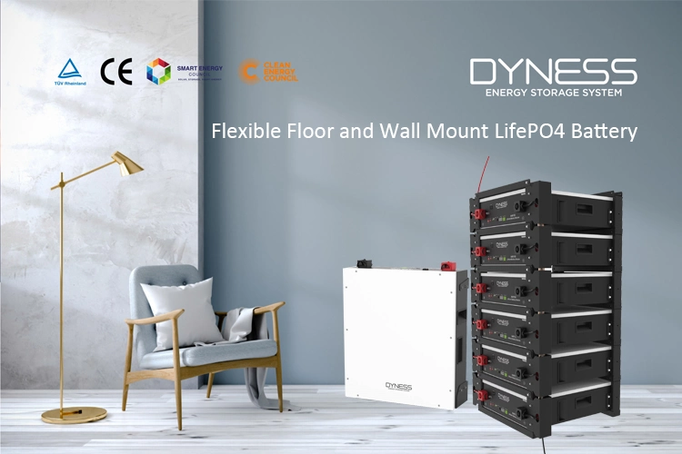 Dyness Solar Battery Cabinet 48V 100ah 48 Volt Lithium Ion A48100 Deep Cycle LiFePO4 Battery