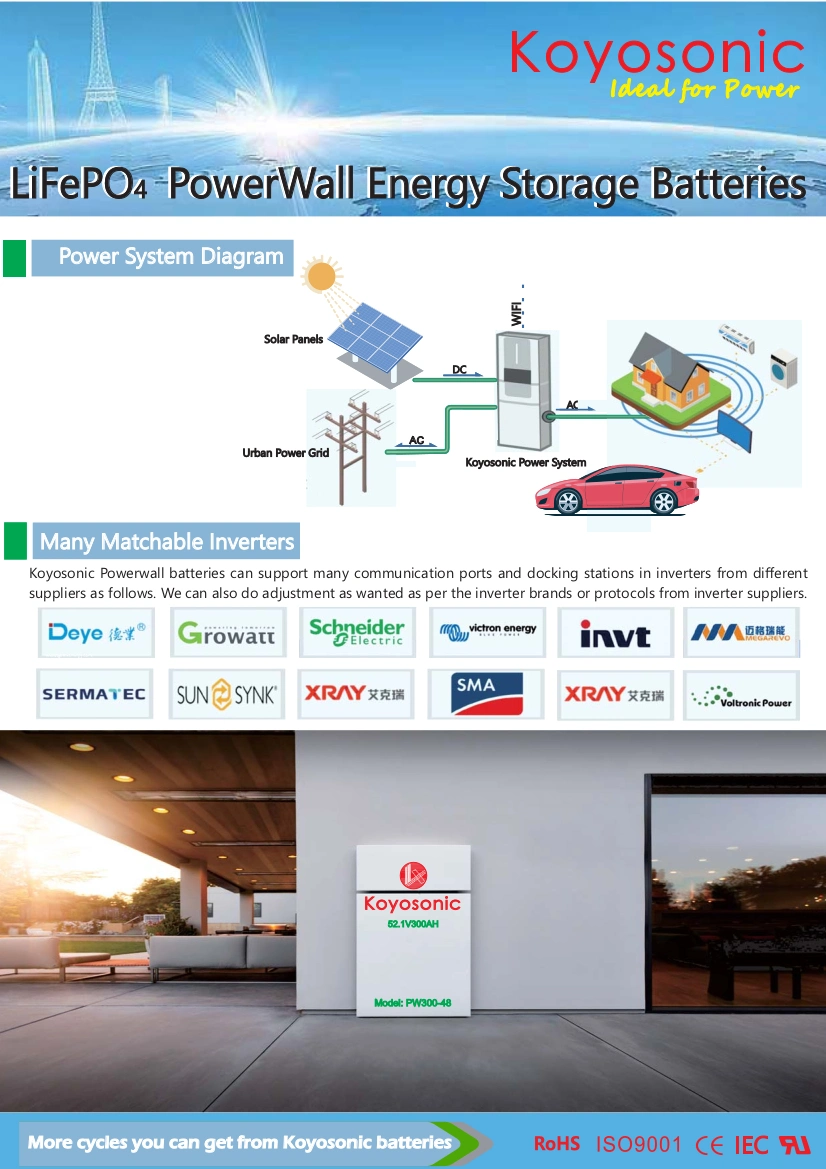 Koyosonic 48V Lithium Battery Rack 50ah 100ah 200ah 51.2V LiFePO4 Battery 2.5kwh 5kwh 10kwh 15kwh Lithium Ion Battery Pack Li-ion Home Storage Battery for Tesla