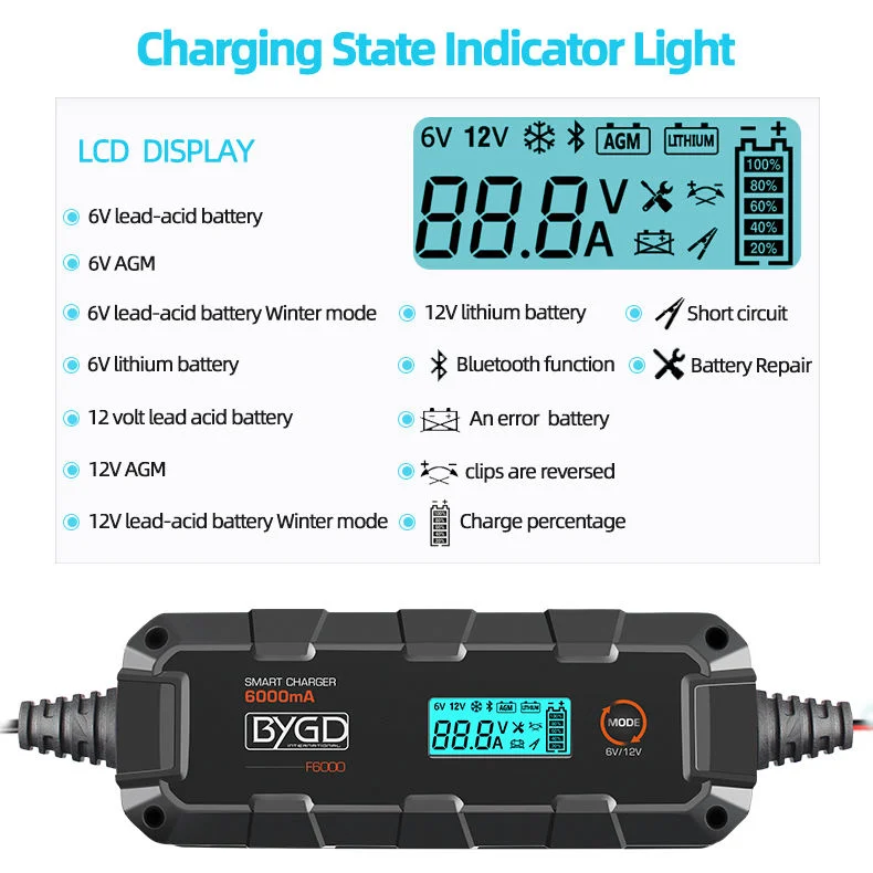 Portable Electric Vehicle Battery Wet, Gel, Mf, Ca, Efb, AGM, Lithium Battery Charger with Coc