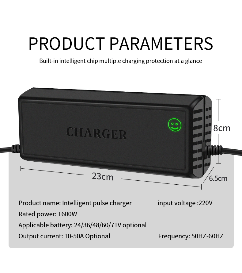 Special Charger for Lithium-Ion Batteries