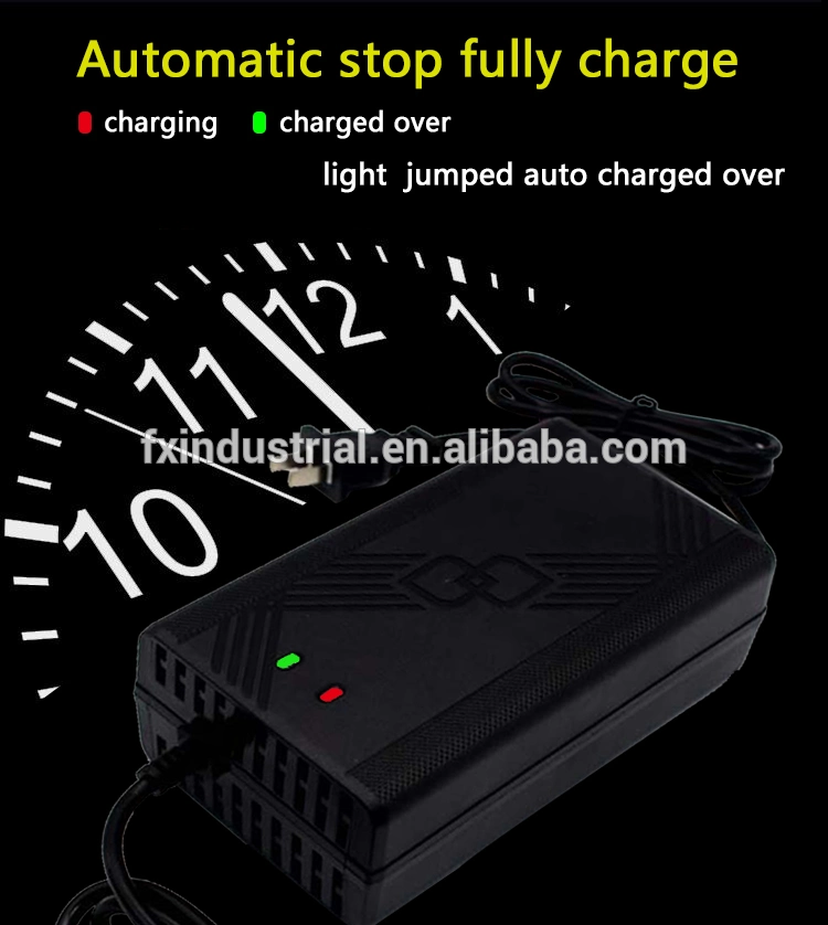 Lead Acid Battery Charger Electric Bicycle and Motor Car Battery Charger