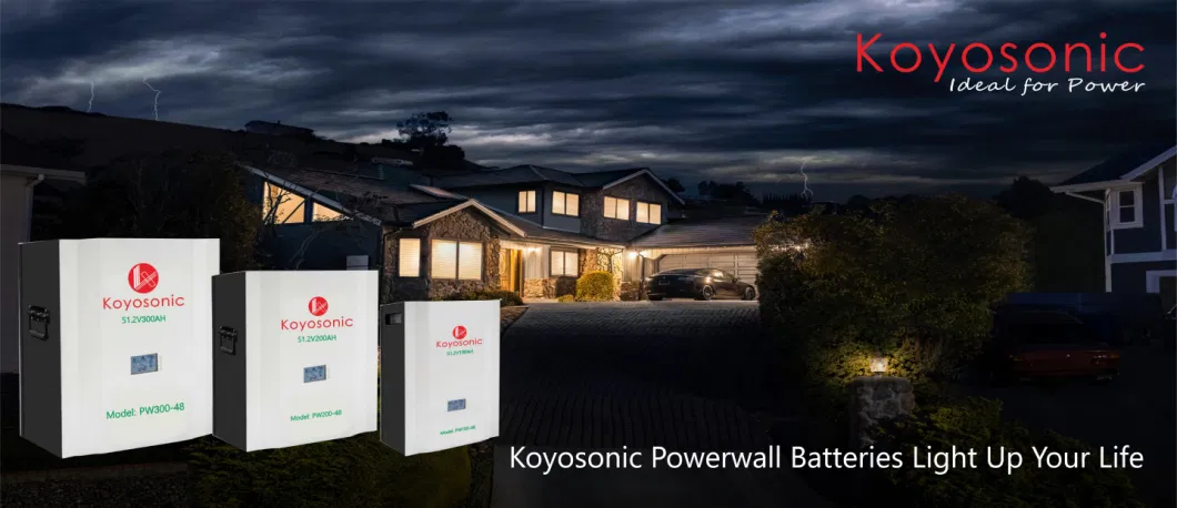 Tesla Powerwall LiFePO4 Battery Rack Power 12V 24V 48V 100ah 200ah 400ah Lithium Ion Battery 5kwh 10kwh 20kw Battery Pack Lipo LiFePO4 Battery Home for Home