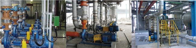 Irrigation Diesel Engine Water Pump