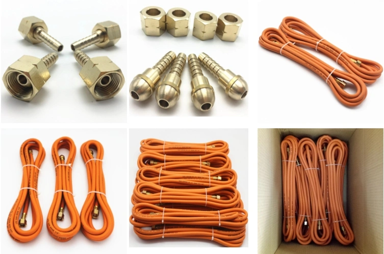 5/16&quot; (8mm) Brass Female Left-Hand Threads Fittings Natural LPG Gas Hose with Best Price