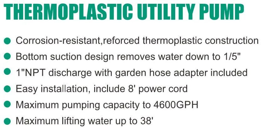 8&prime;power Cord Thermoplastic Utility Water Pump with Garden Hose Adaptor
