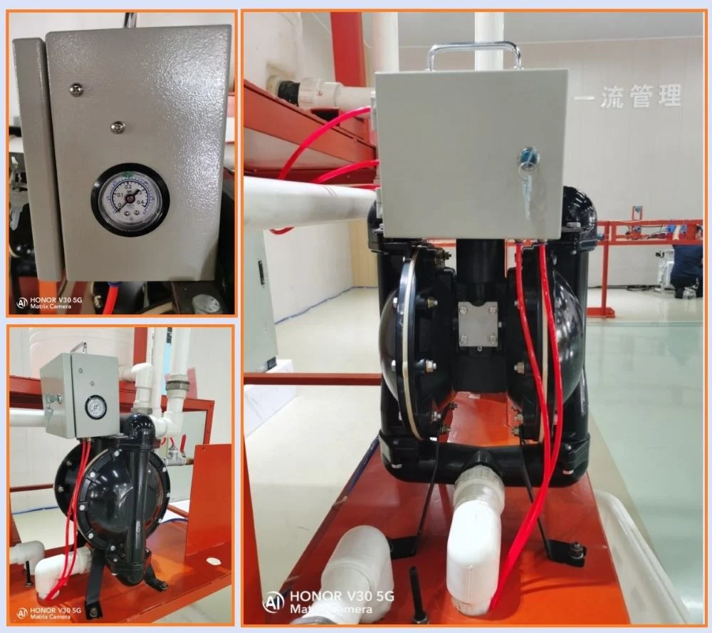 Automatic Dewatering System with 3 Inch Diaphragm Pump Aodd Pump