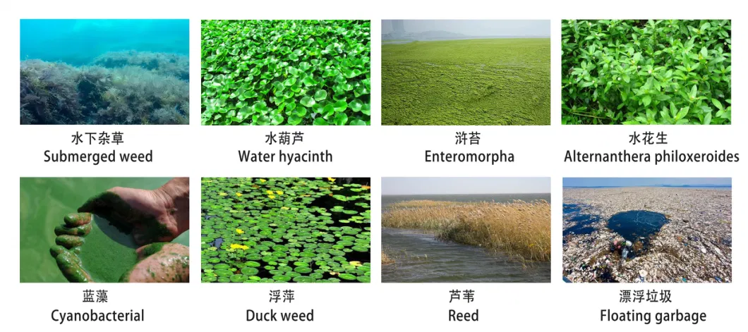 Full Automatic Water Hyacinth/Water Lettuce Harvester