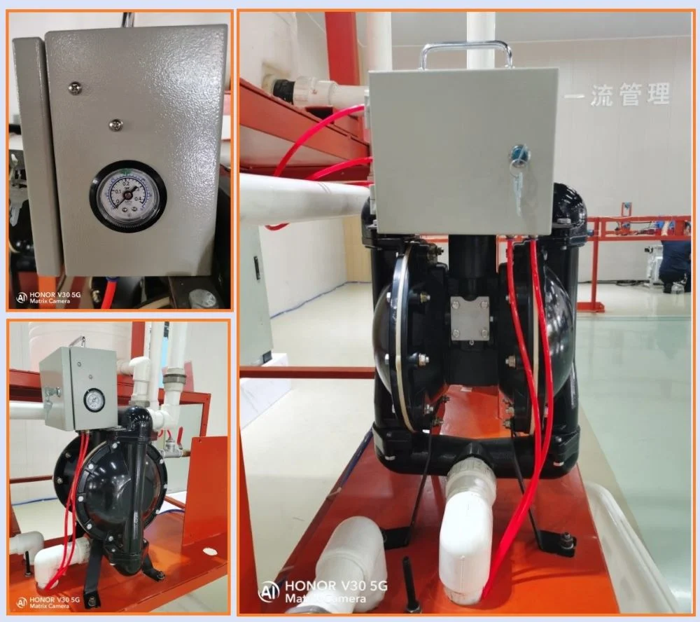 China Automatic Water Pumps for Sale, Consists of Water Level Sensor, Air Controller and Aodd Pump.