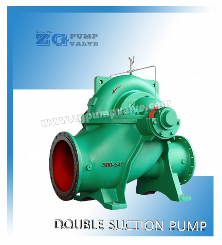 Horizontal and Vertical High Efficiency Duplex Stainless Steel, Cast Iron, Carbon Steel Double Suction Axial Split Volute Casing Case Centrifugal Sea Water Pump