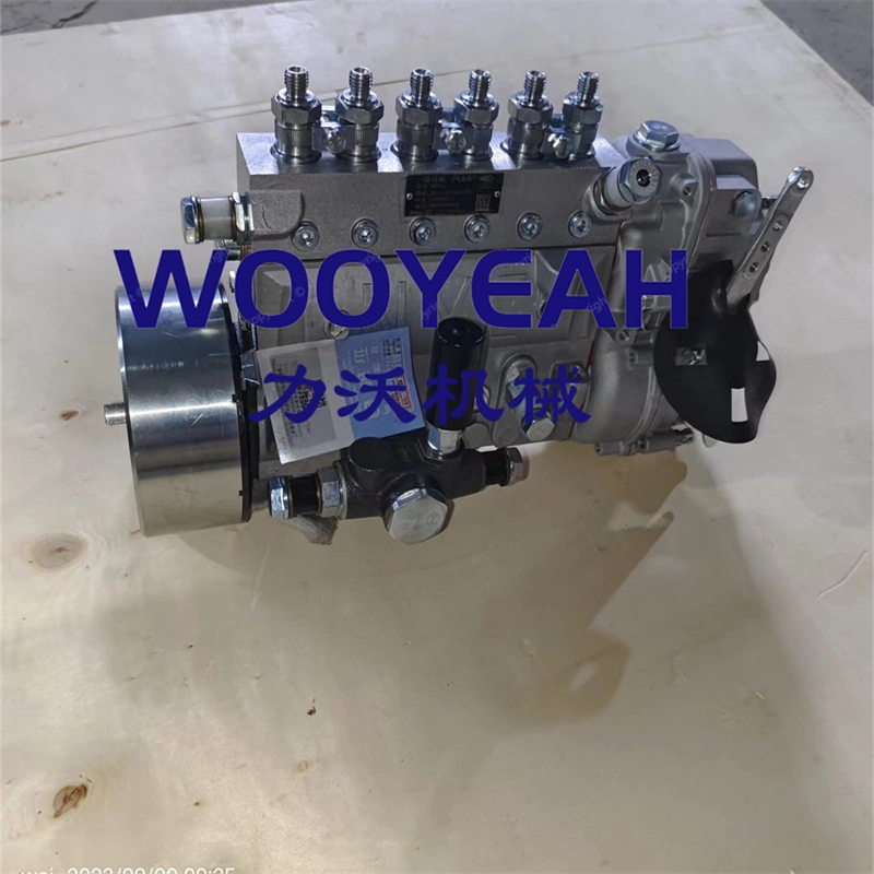 Wheel Loader Spare Parts Injection Pump B6ad54-Z 4110001552003