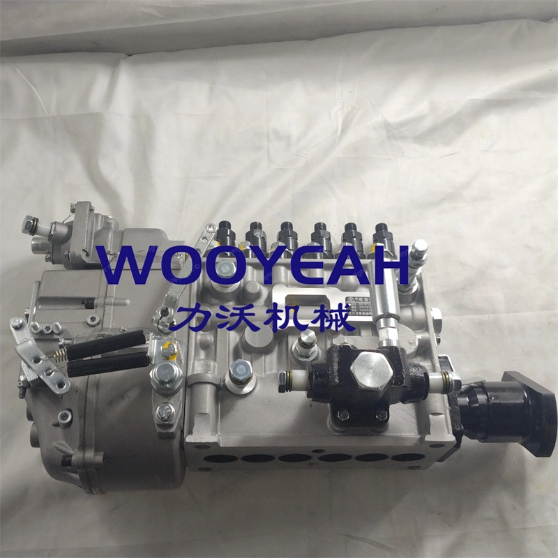 Wheel Loader Spare Parts High Pressure Oil Pump 612601080138 4110000113013