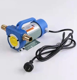 Electric Diesel Fuel Transfer Pump 220V Diesel Oil Refueling Pump Kit with Fuel Dispenser Nozzle and Suction/Delivery Hose