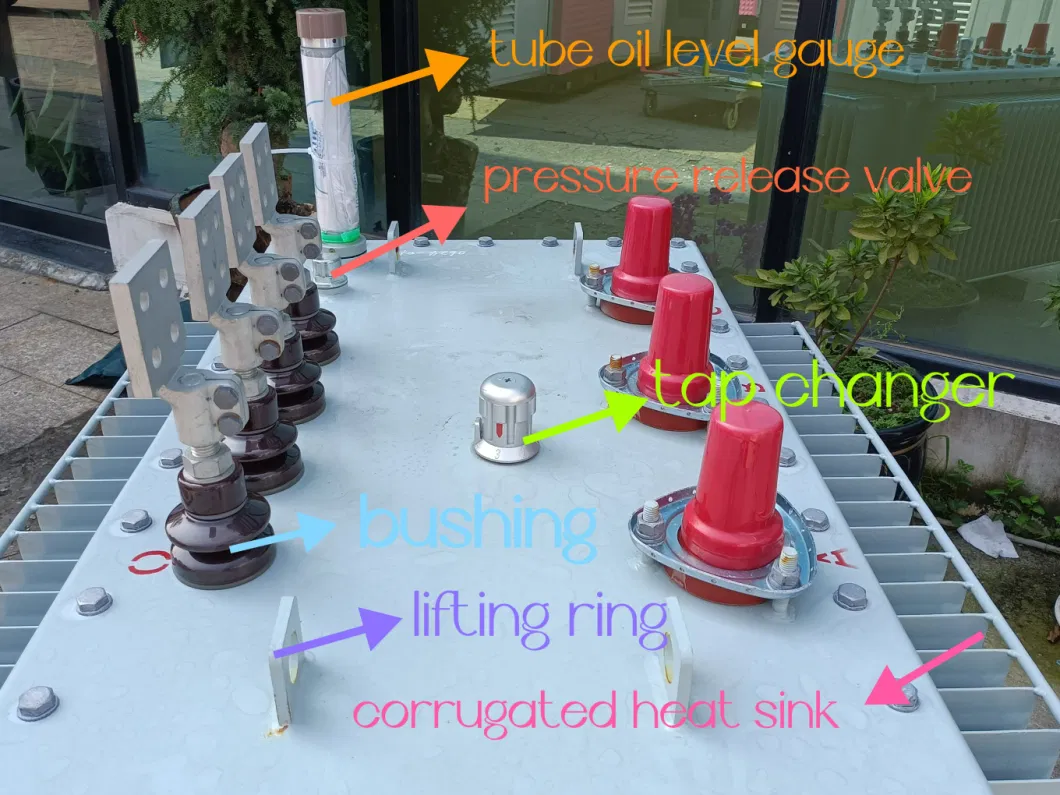 High Efficiency 30kVA-2500kVA 10kv 20kv Customized Oil-Immersed Distribution Transformer