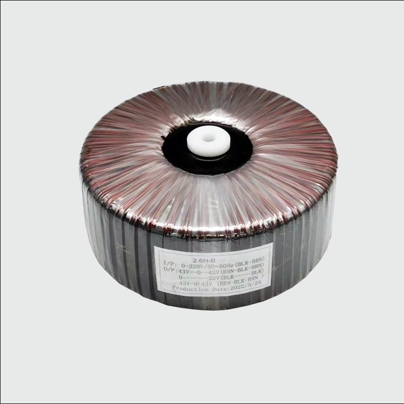 Single Phase Toroidal Coil Industrial Network Isolation Transformer