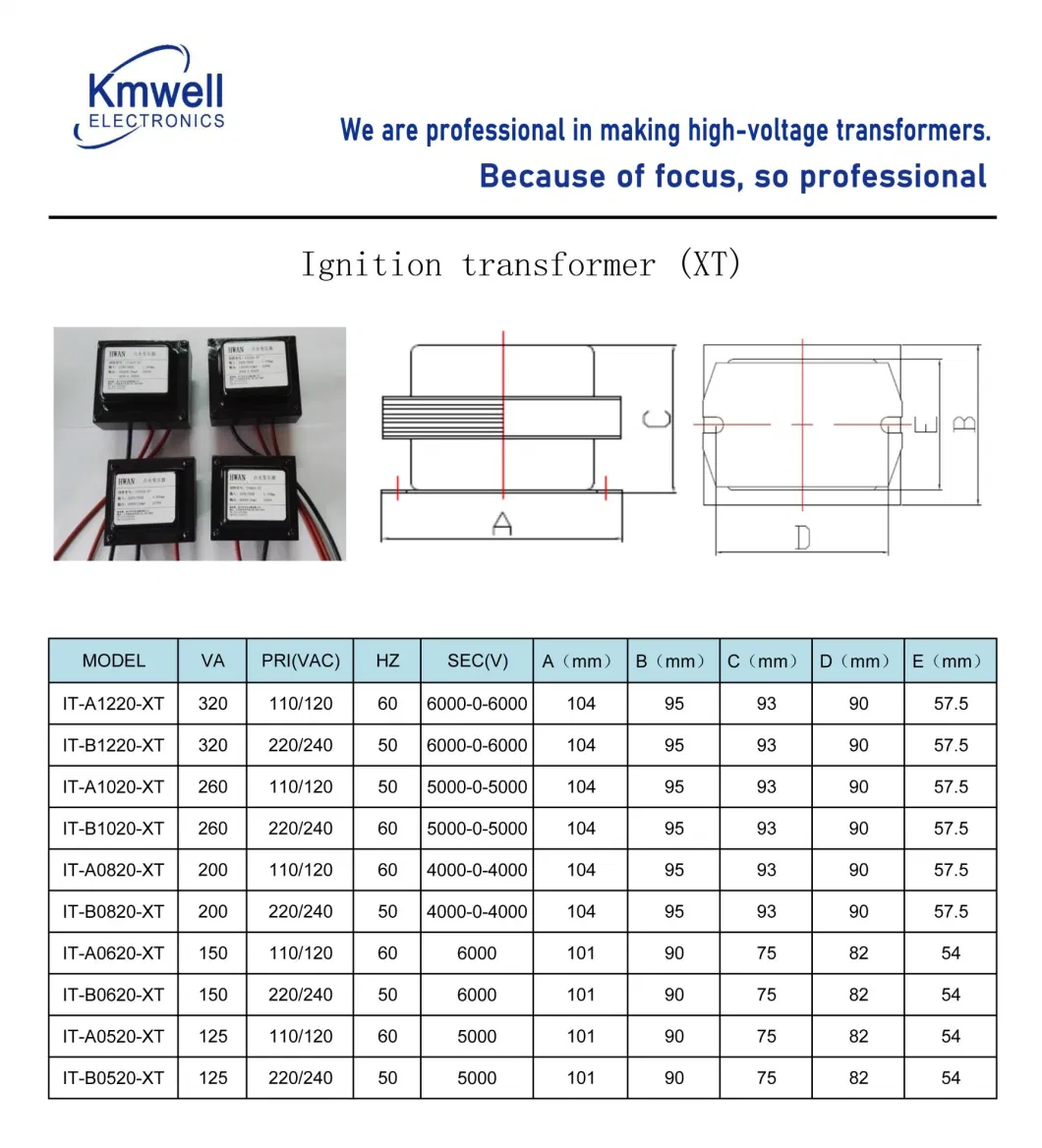 Magnetic Step-up Transformer 8000V High Voltage Burner Ignition Transformer for Industry Gas Burner