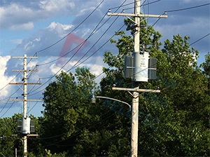 1phase Pole Mounted Distribution Transformer 100kVA 34.5kv