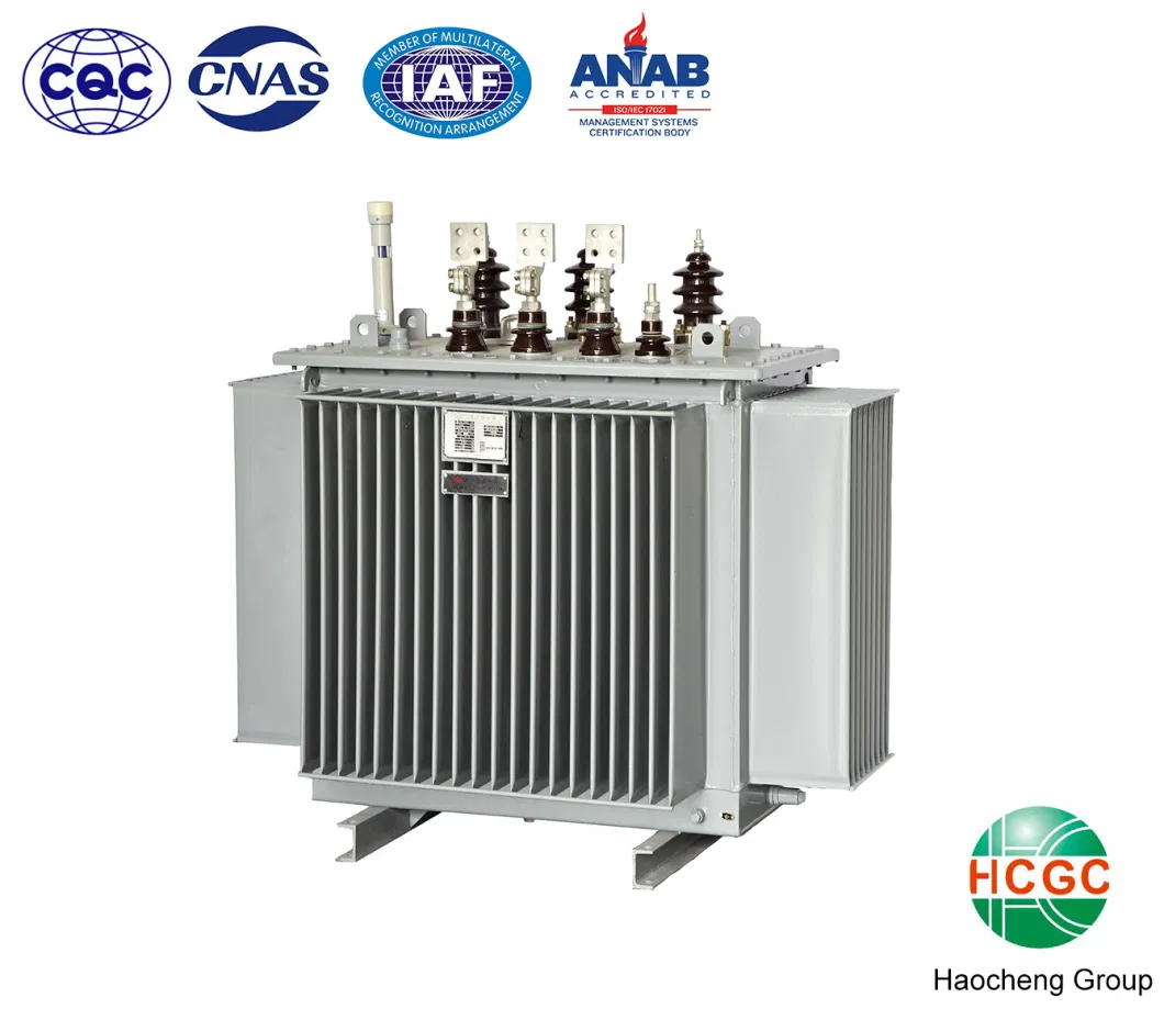 6kv 10kv 11kv 15kv 20kv 22kv 33kv 35kv Oil Immersed Distribution Power /Electrical Transformer Type Tap-Changing Oil Immersed Distribution Power Transformer