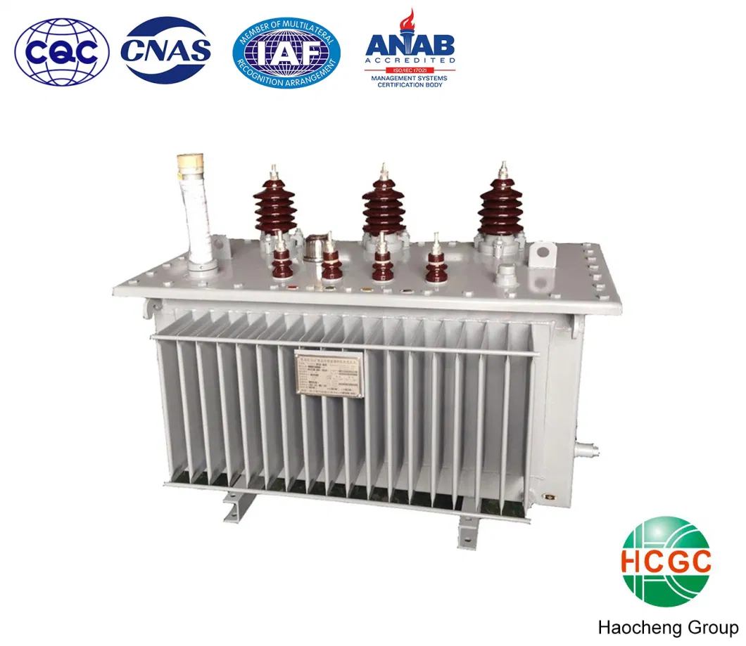 6kv 10kv 11kv 15kv 20kv 22kv 33kv 35kv Oil Immersed Distribution Power /Electrical Transformer Type Tap-Changing Oil Immersed Distribution Power Transformer