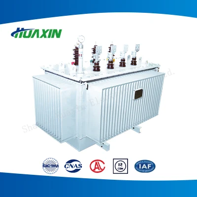 Modell S(B)13-(M)Level 10kV 30kVA-2500kVA Dreiphasige zweiwickige, nicht-erregernde, verlustarme, öleingetauchte Ebene Laminierter Stromwandler Für Die Kernspannungsverteilung