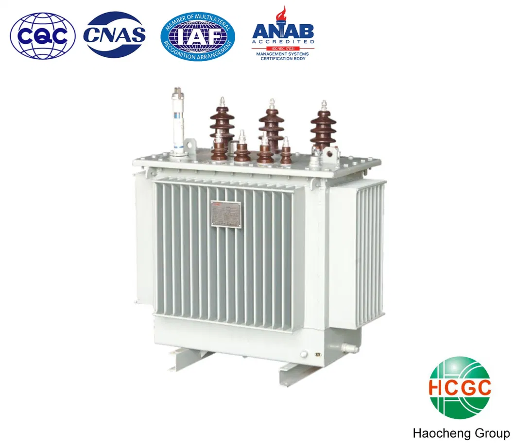 6kv 10kv 11kv 15kv 20kv 22kv 33kv 35kv Oil Immersed Distribution Power /Electrical Transformer Type Tap-Changing Oil Immersed Distribution Power Transformer