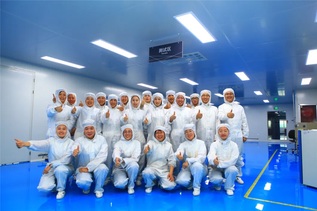 China Mcm Manufacturer Supplier Micorpac 42094 + 24V Voltage Regulator