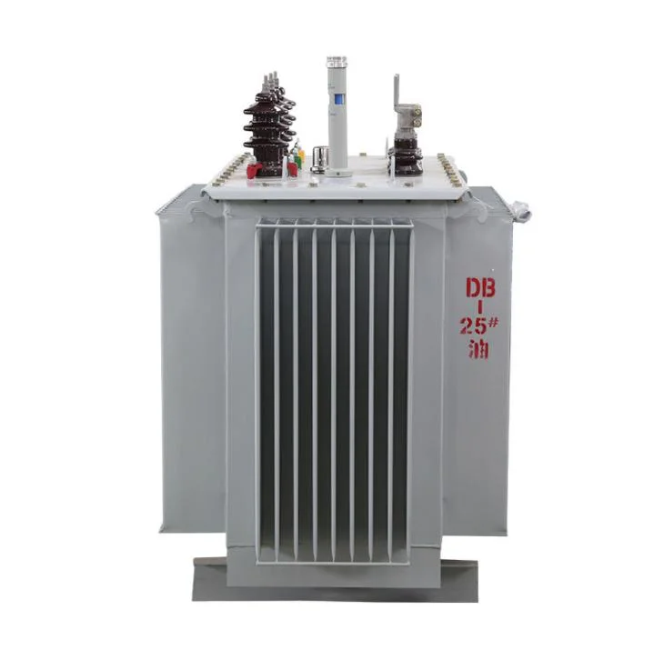 3 Phase Digital Electrict Transformer 20kv 36kv Potential Oil Immersed Distribution Transformer