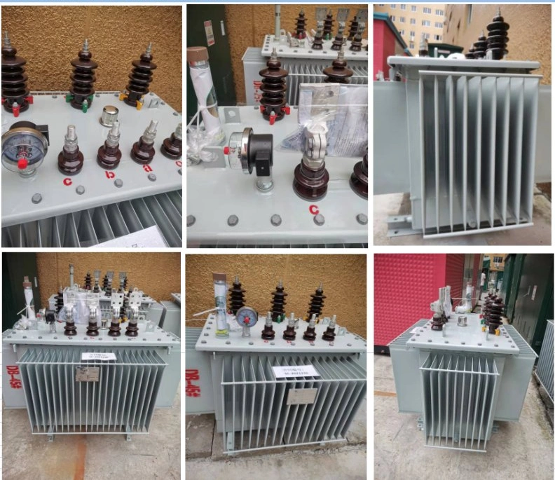 3 Phase Digital Electrict Transformer 20kv 36kv Potential Oil Immersed Distribution Transformer