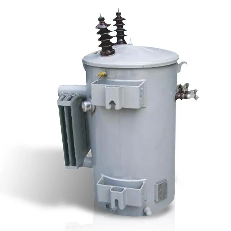 D10 Series Single-Phase Oil Immersed Pole Mounted Distribution Transformer