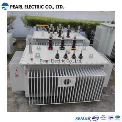  Transformador de tipo montado en poste de 100 kVA 11-6,6/0,4 kV