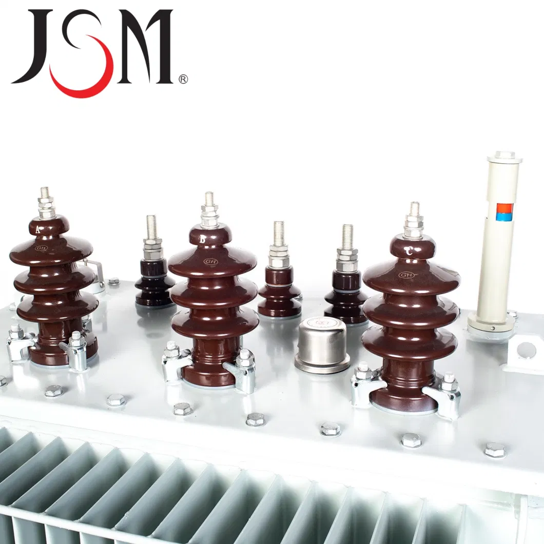Jsm S9-500kVA/11kv Oil Immersion Transformer Distribution Transformer