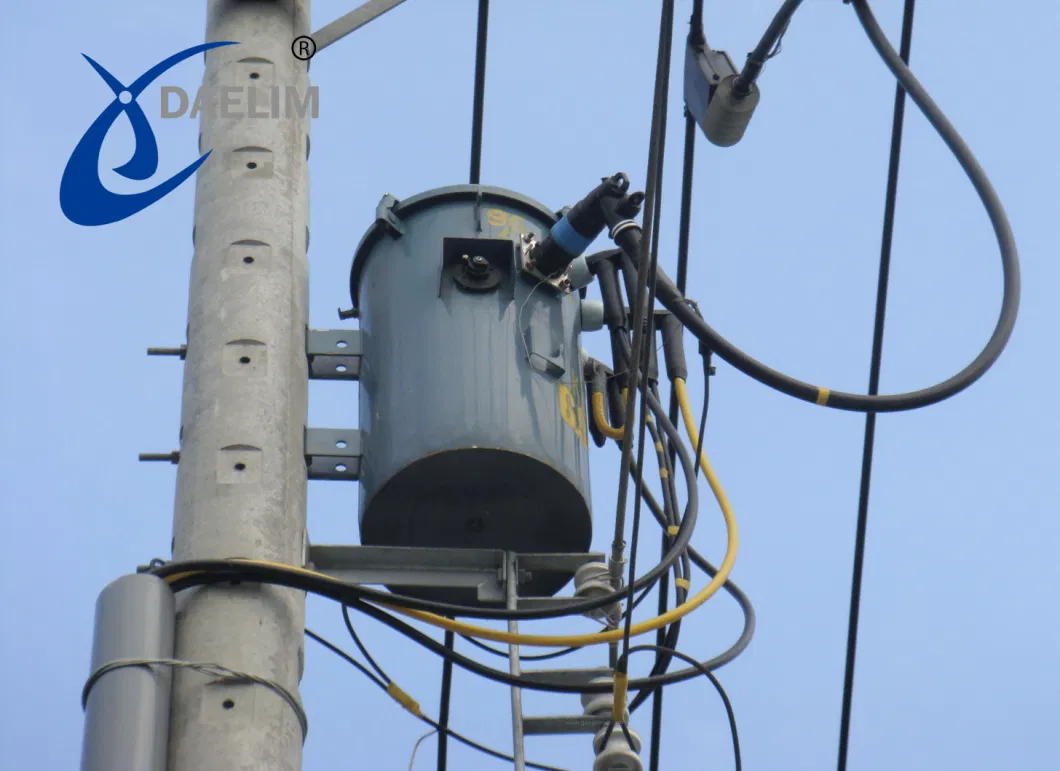 100 kVA Transformer Pole Mounted Overhead Transformer