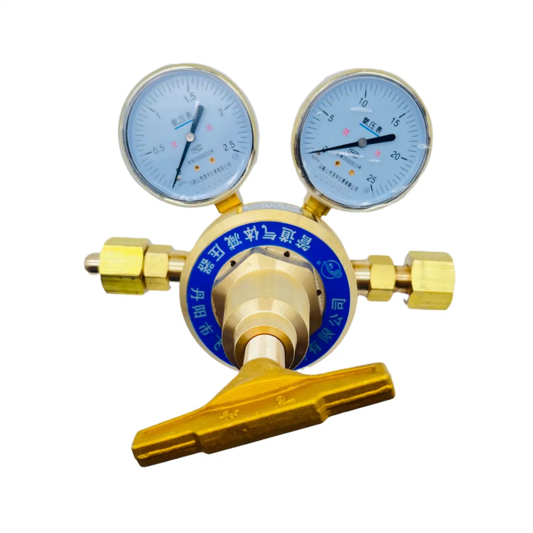 Industrial Brass Oxygen Decompressor Argon Hydrogen Air Two Gauge Pressure Reducer Gas Regulator for Welding Cylinder Flame Torch Cutting Kit