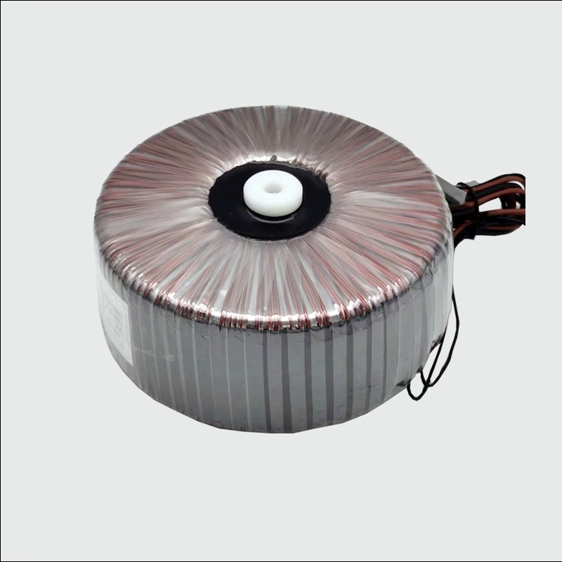 Customized Toroidal Transformer 220V 110V to 24V 48V Audio Power Amplifier Copper Transformers