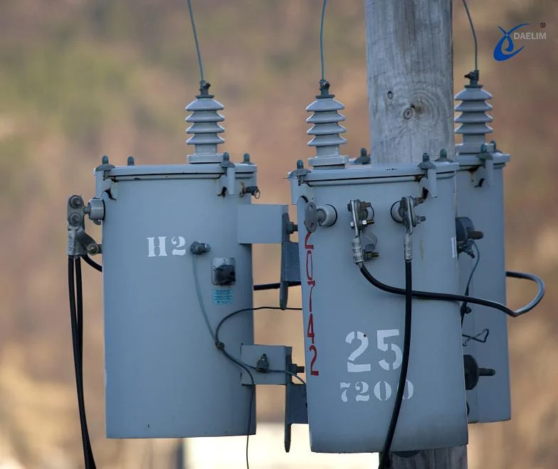 100 kVA Transformer Pole Mounted Overhead Transformer