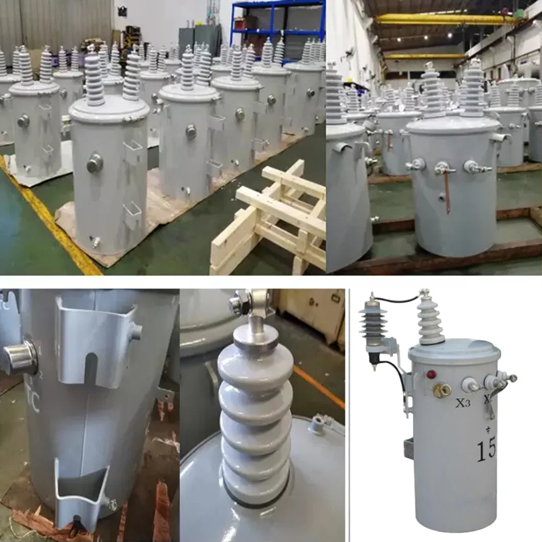 20 (15) Kv Dual Voltage Single Phase 10kVA Power Transformer Oil-Immersed Transformer China Price