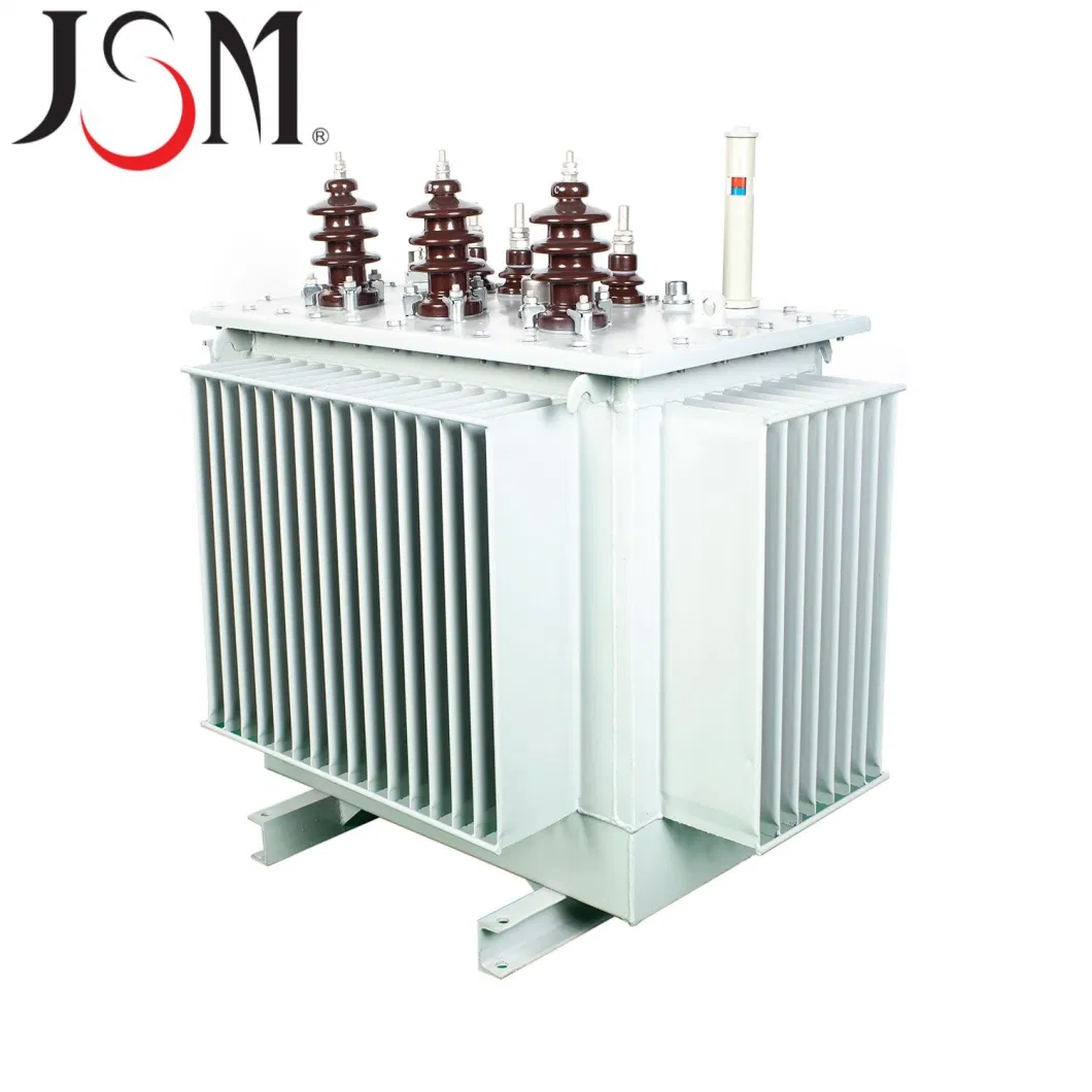 Jsm S9-10kVA/11kv Oil Immersion Transformer Distribution Transformer
