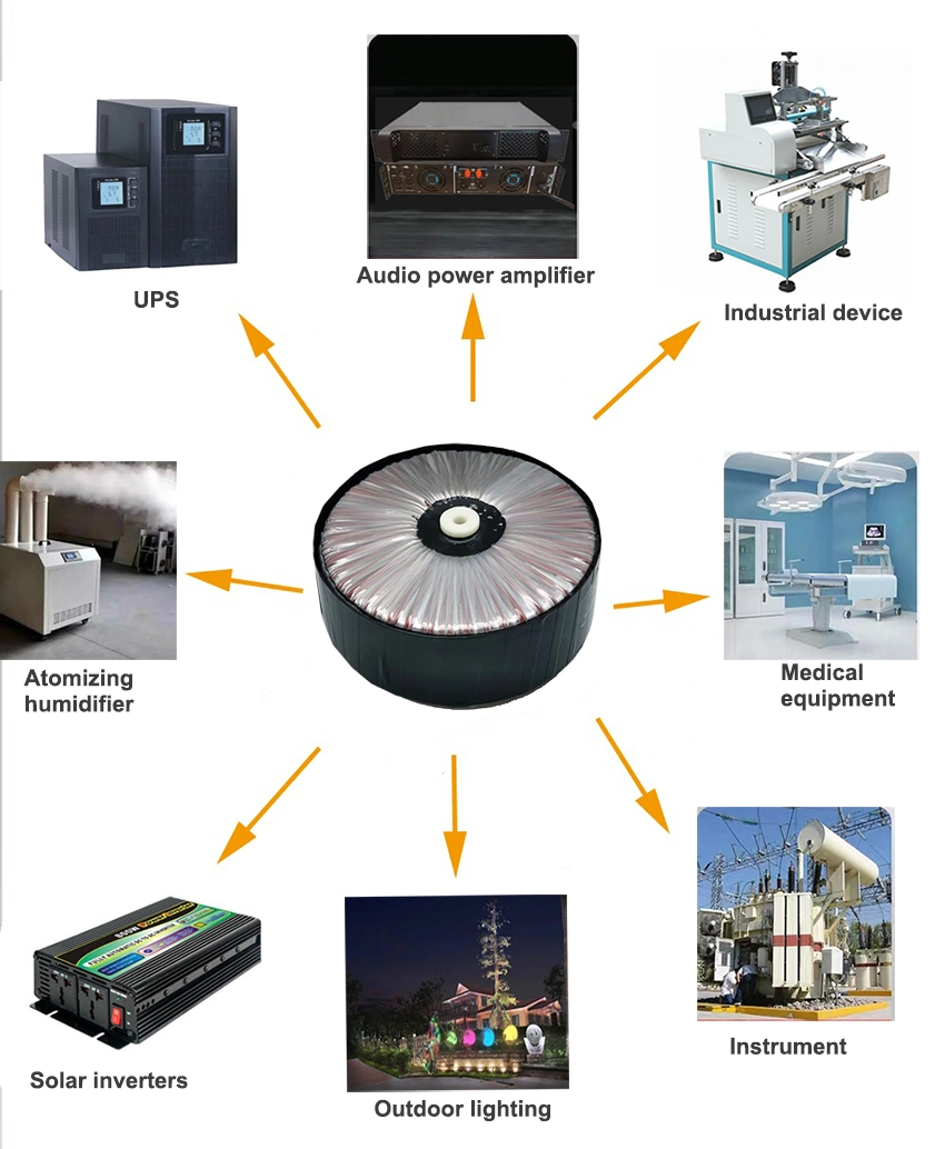 220V 12V 110V 230V 3000W AMP Toroidal Transformer for Power Amplifier