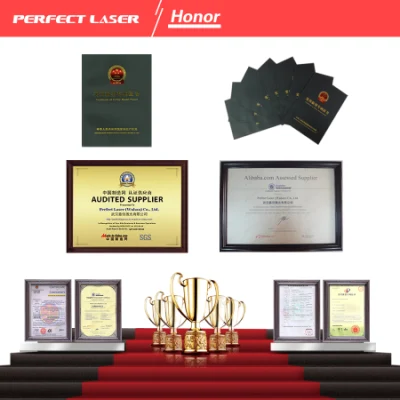 Perfect Laser-500W 1kw 2kw 1000W 3000W 3015 Ipg/Raycus/Max CNC Metal /Stainless Steel/Iron/Aluminum/Copper/Ss/Ms Plate Fiber Laser Cutter Cutting Machine Price
