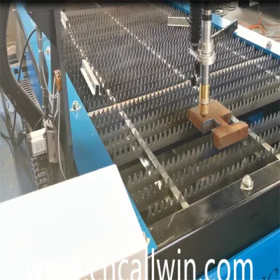 Plasma Cutting Machine Metal Sheet CNC Plasma Cutter Service