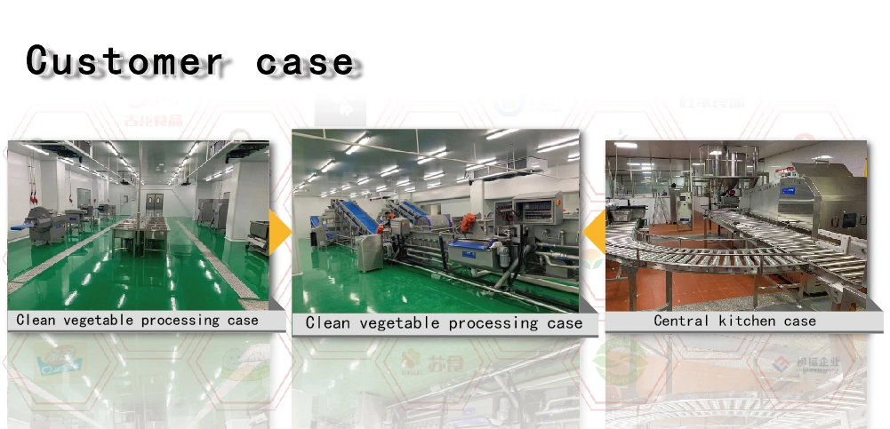 Multi-Functional Cutting Machine Clean Vegetable Processing Equipment Leaf Vegetable Cutter Rhizome Cutting Machine