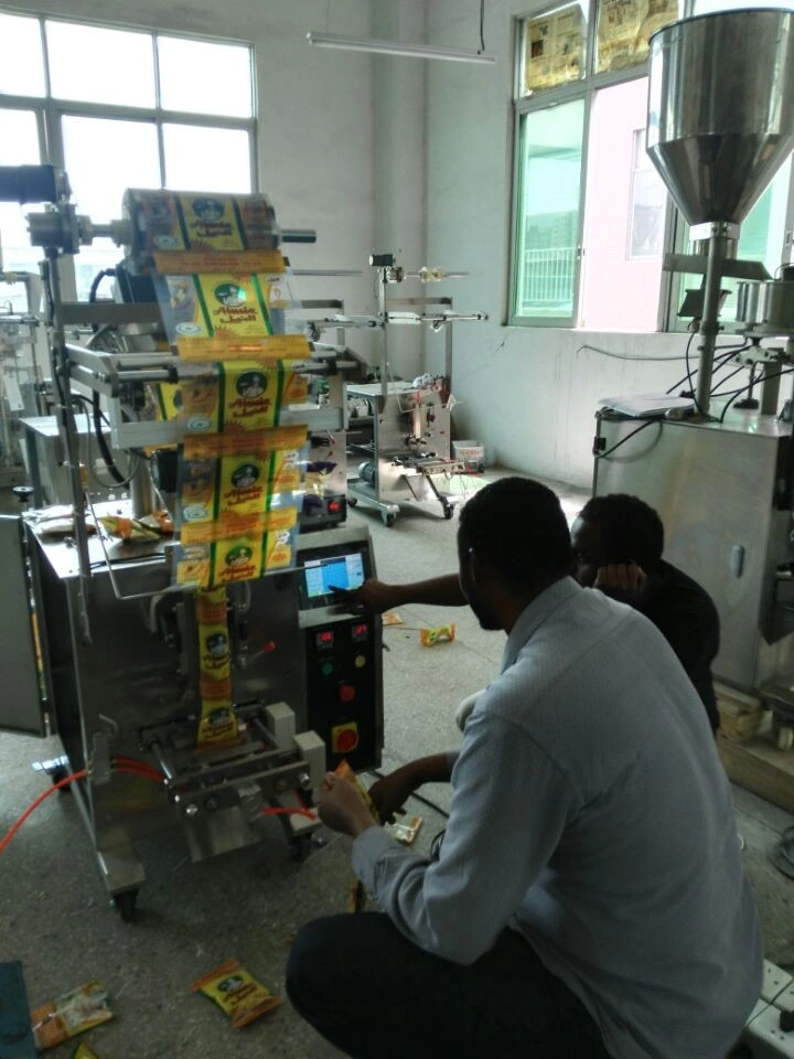 Chinese Thermocol Auger Filler Powder Packing Machine