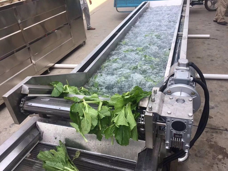 Industrial Tea Leaf Peanut Leaf Washing Machine