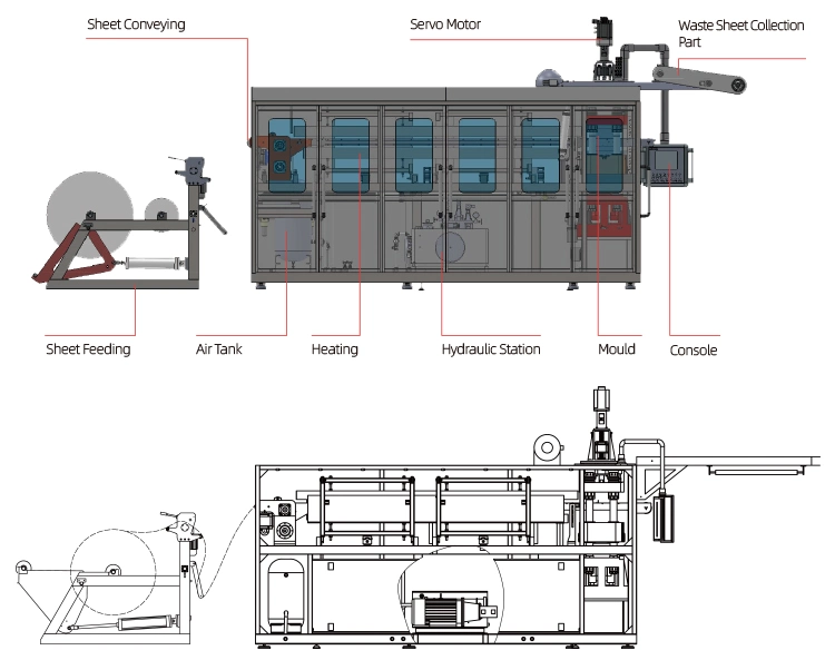 Thermocol Small Machine for The Manufacture of Disposable Cups