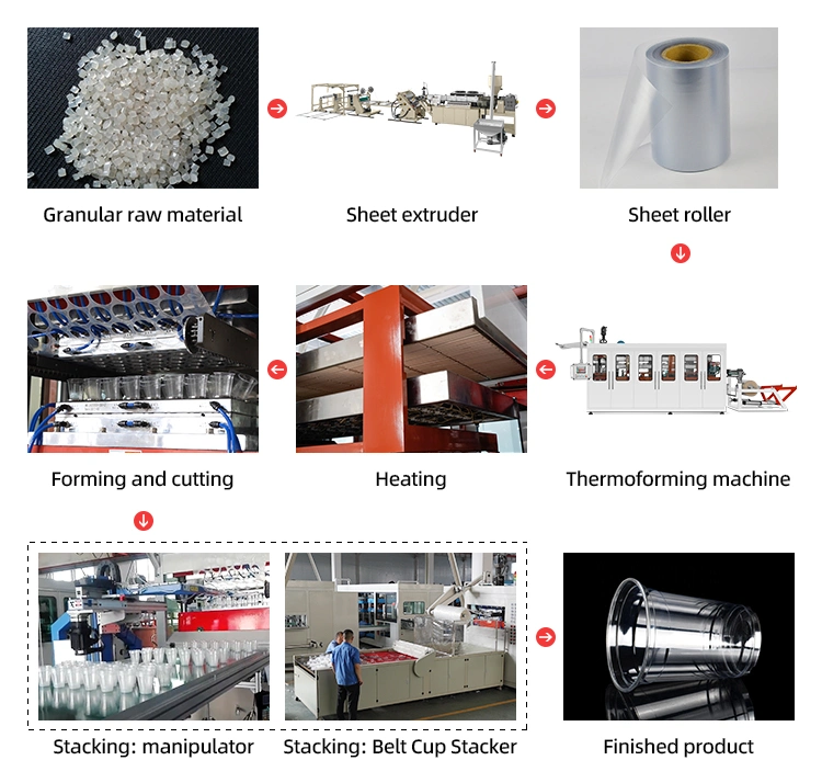 Thermocol Small Machine for The Manufacture of Disposable Cups